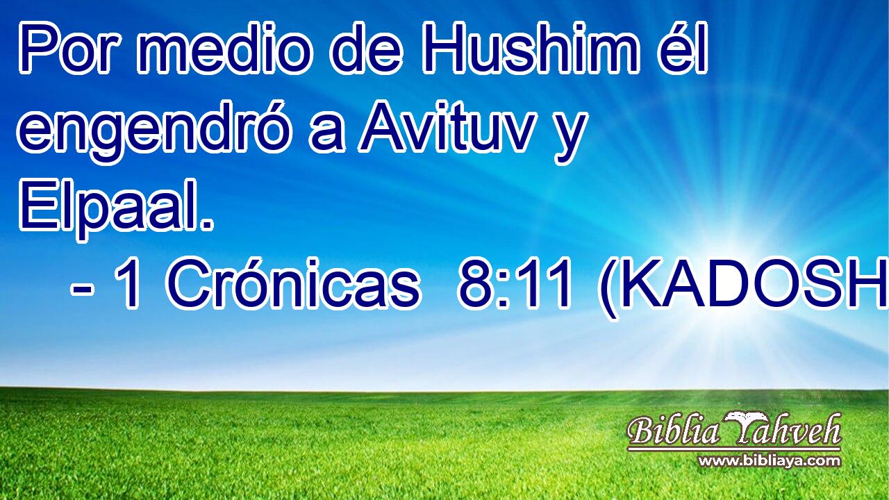  Por medio de Hushim él engendró a Avituv y Elpaal. 