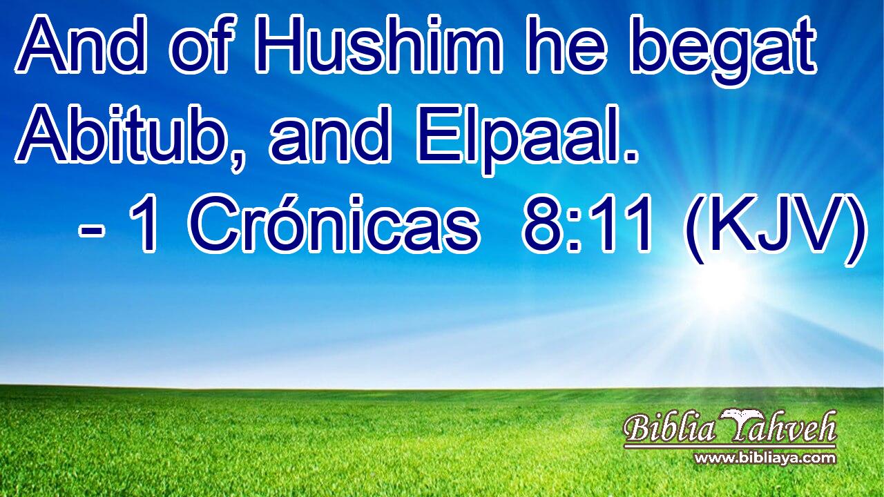 And of Hushim he begat Abitub, and Elpaal.