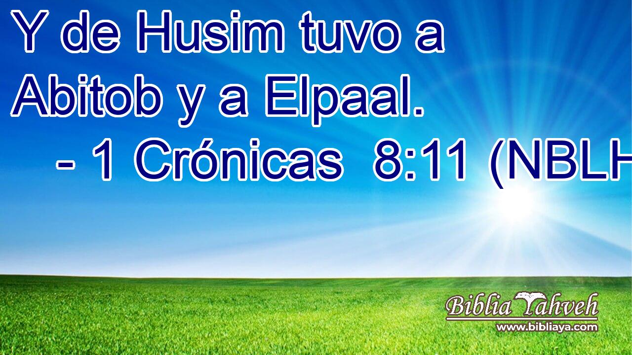  Y de Husim tuvo a Abitob y a Elpaal. 