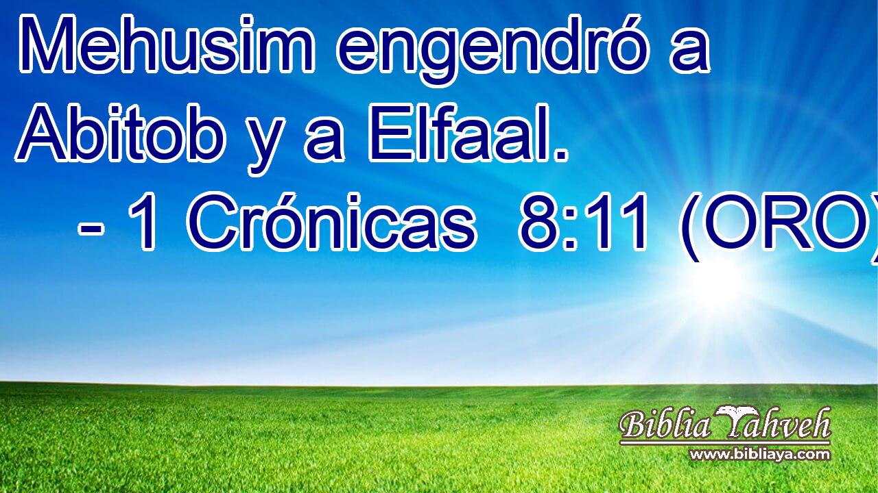  Mehusim engendró a Abitob y a Elfaal. 