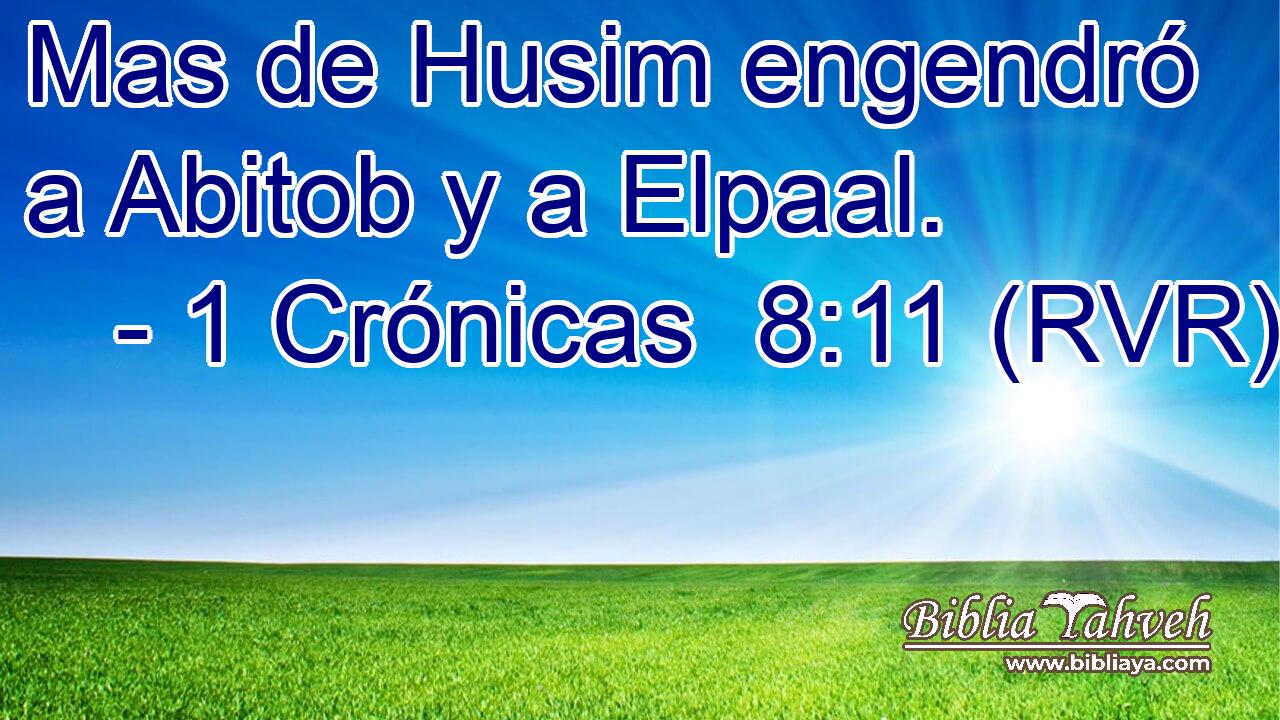 Mas de Husim engendró a Abitob y a Elpaal.