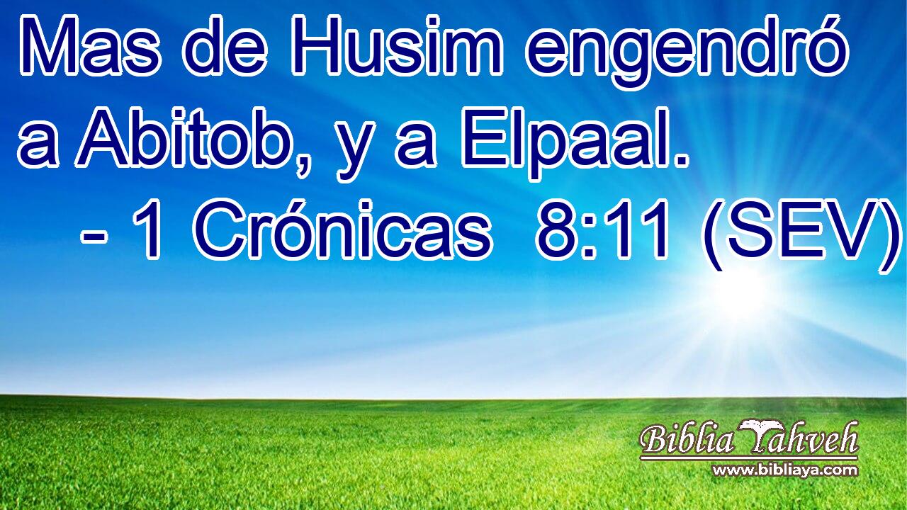 Mas de Husim engendró a Abitob, y a Elpaal.