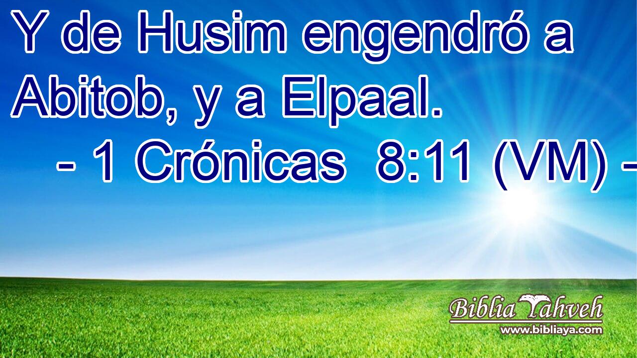  Y de Husim engendró a Abitob, y a Elpaal. 