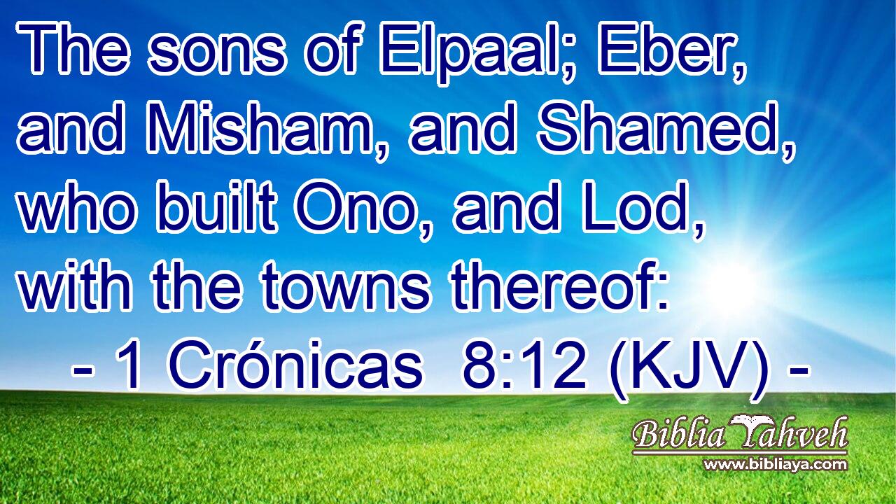 The sons of Elpaal; Eber, and Misham, and Shamed, who built Ono, and Lod, with the towns thereof: