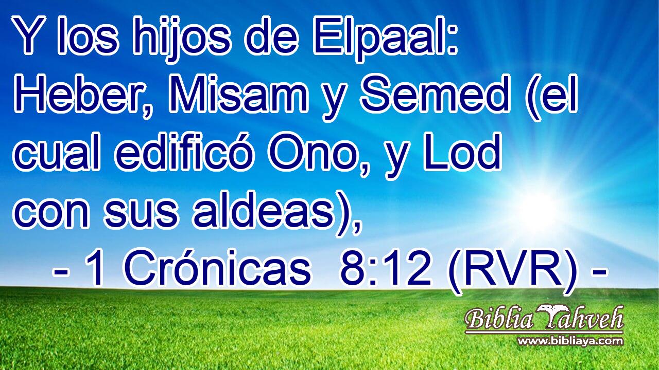 Y los hijos de Elpaal: Heber, Misam y Semed (el cual edificó Ono, y Lod con sus aldeas),