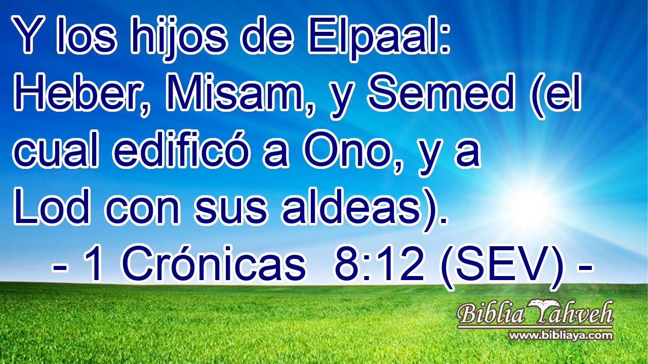 Y los hijos de Elpaal: Heber, Misam, y Semed (el cual edificó a Ono, y a Lod con sus aldeas).