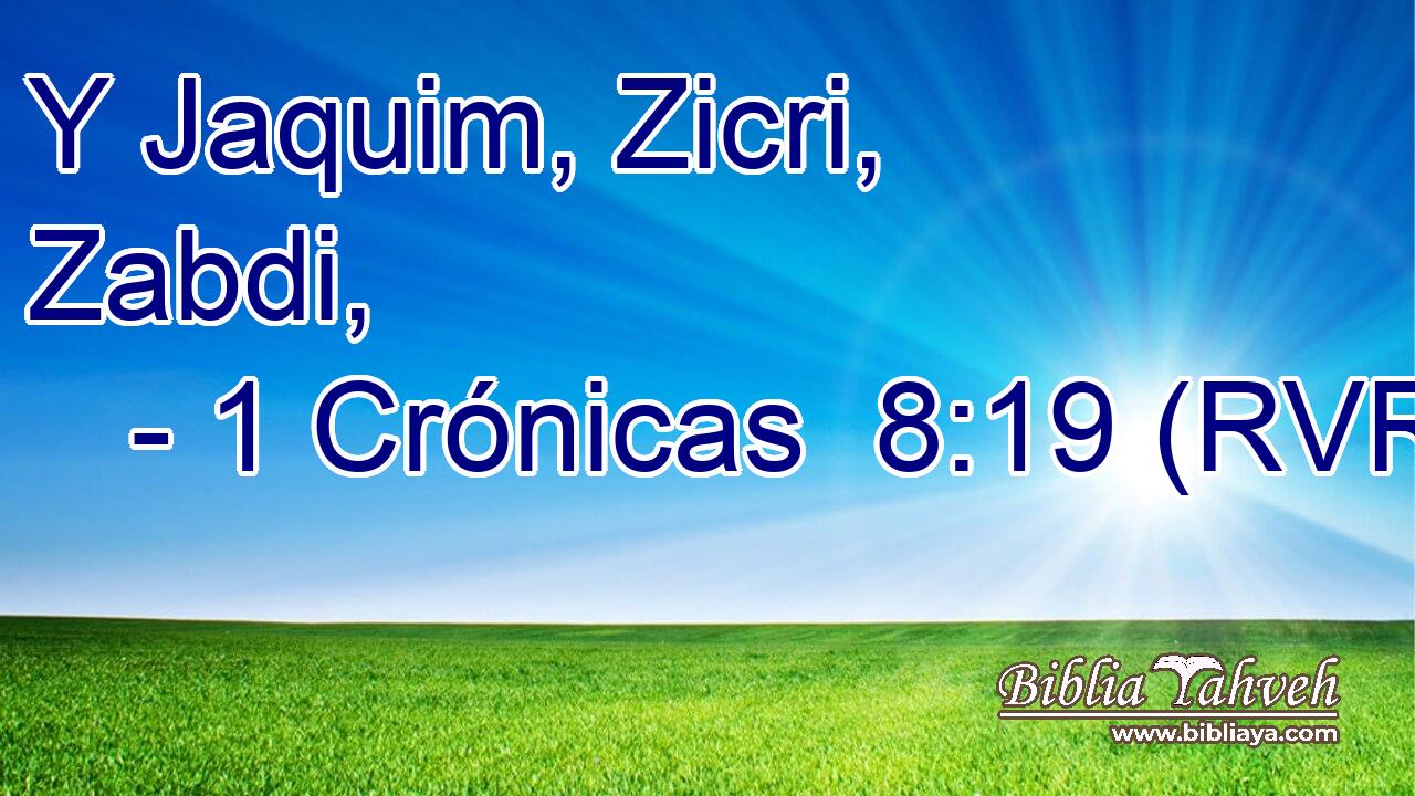 Y Jaquim, Zicri, Zabdi,