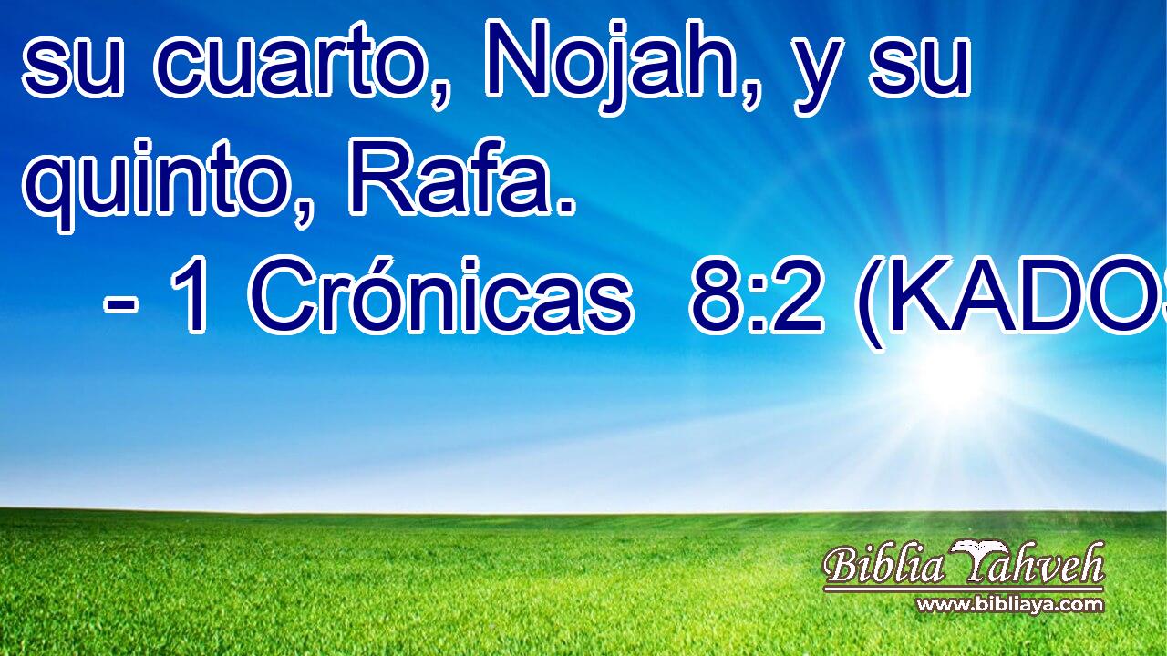  su cuarto, Nojah, y su quinto, Rafa. 