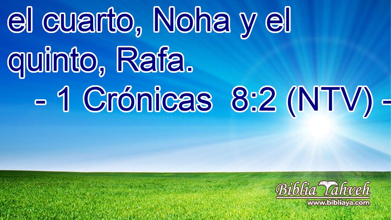 el cuarto, Noha y el quinto, Rafa.