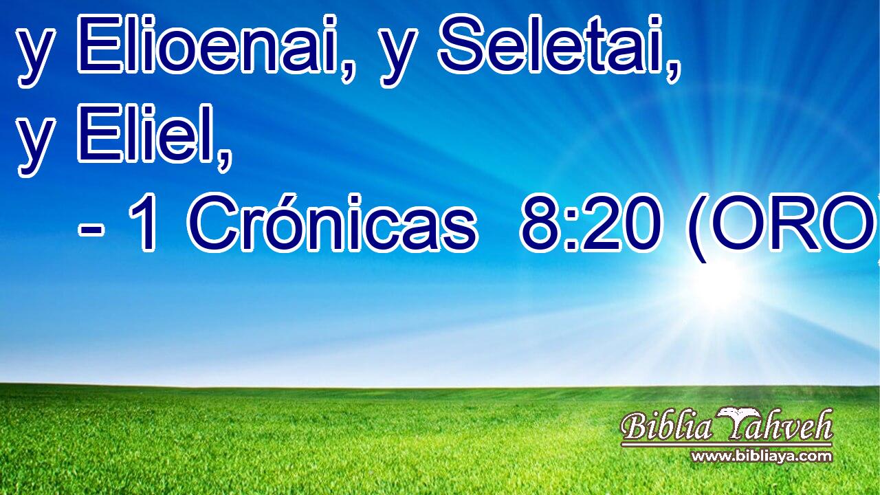  y Elioenai, y Seletai, y Eliel, 