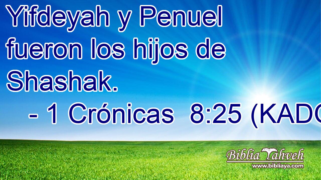  Yifdeyah y Penuel fueron los hijos de Shashak. 