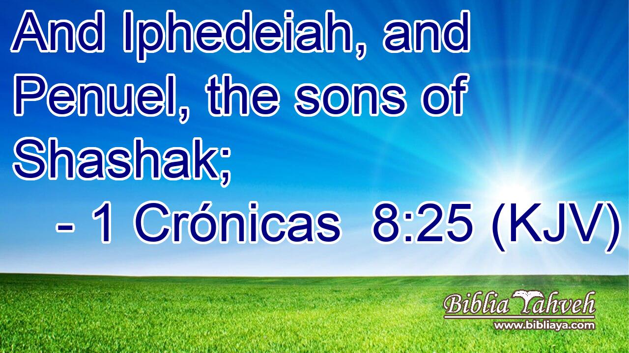 And Iphedeiah, and Penuel, the sons of Shashak;
