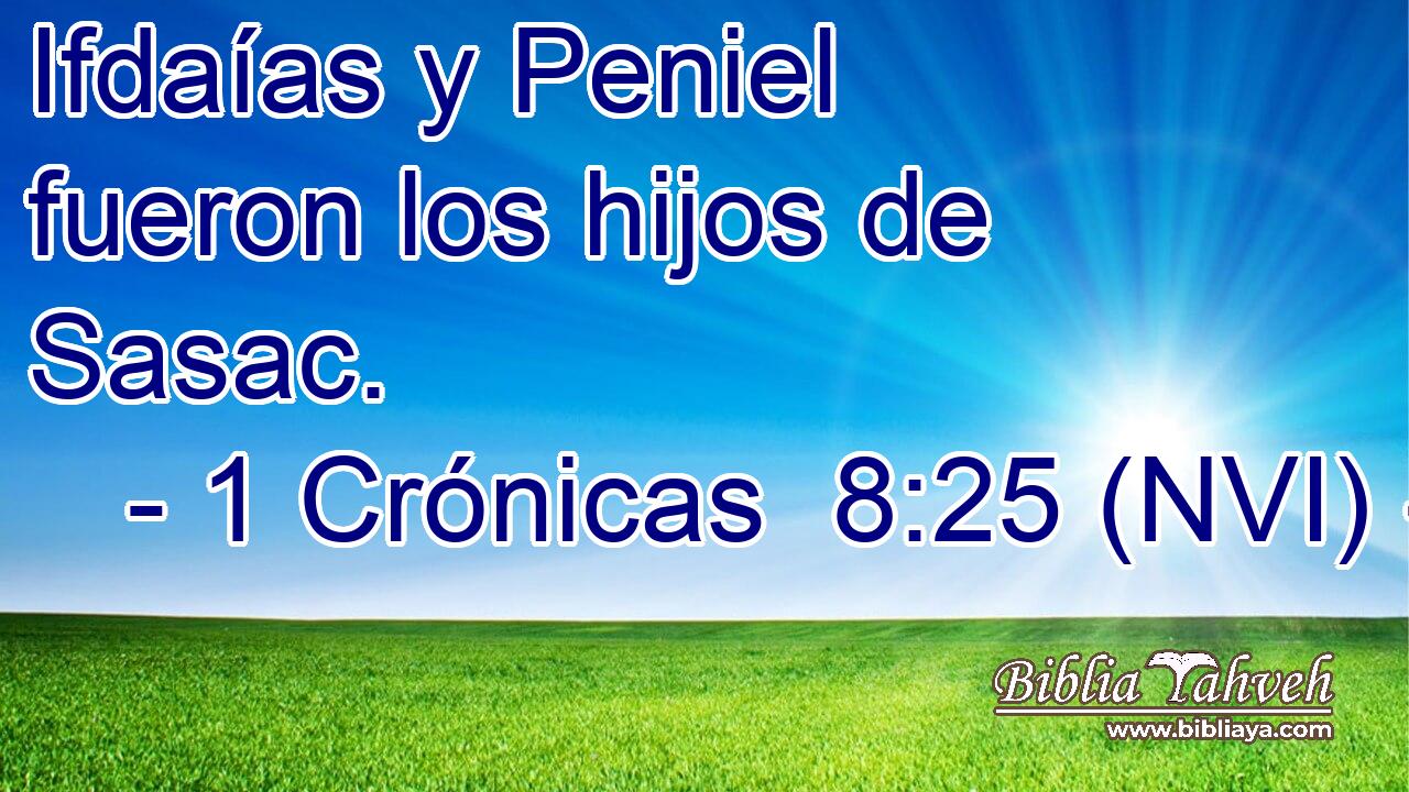  Ifdaías y Peniel fueron los hijos de Sasac. 