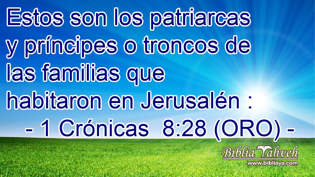  Estos son los patriarcas y príncipes o troncos de las familias que habitaron en Jerusalén : 
