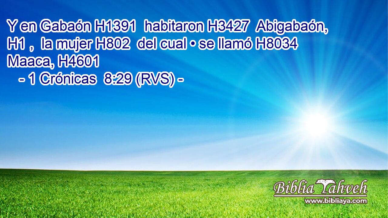 Y en Gabaón H1391  habitaron H3427  Abigabaón, H1 ,  la mujer H802  del cual • se llamó H8034  Maaca, H4601  