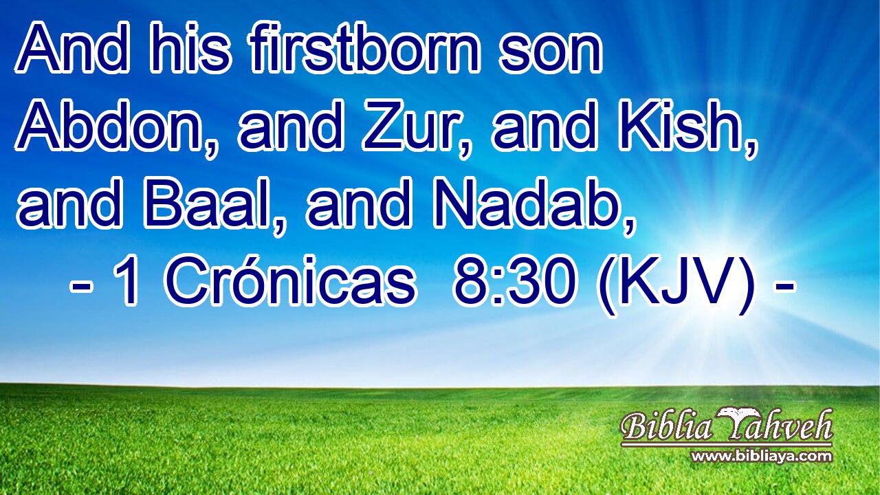 And his firstborn son Abdon, and Zur, and Kish, and Baal, and Nadab,