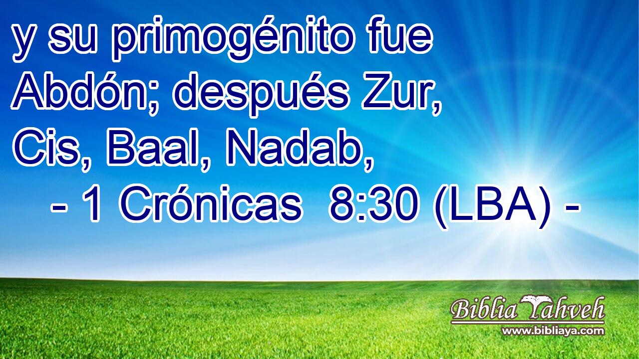 y su primogénito fue Abdón; después Zur, Cis, Baal, Nadab,