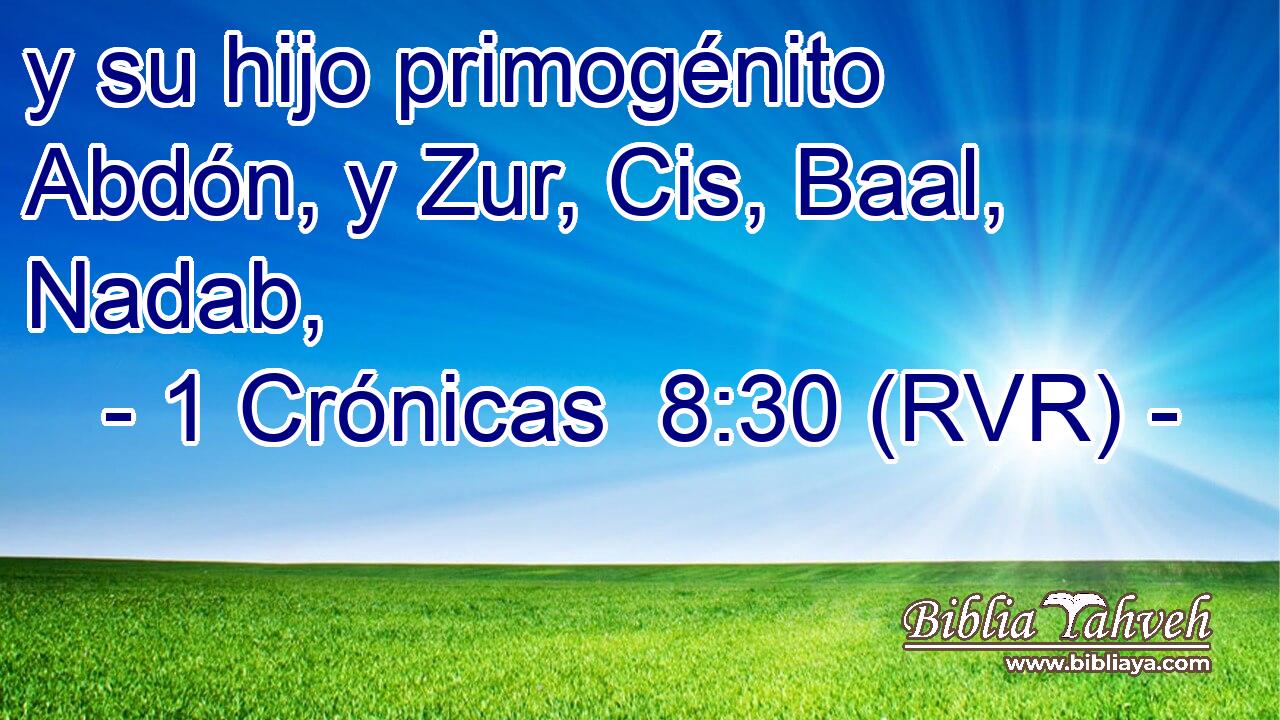 y su hijo primogénito Abdón, y Zur, Cis, Baal, Nadab,