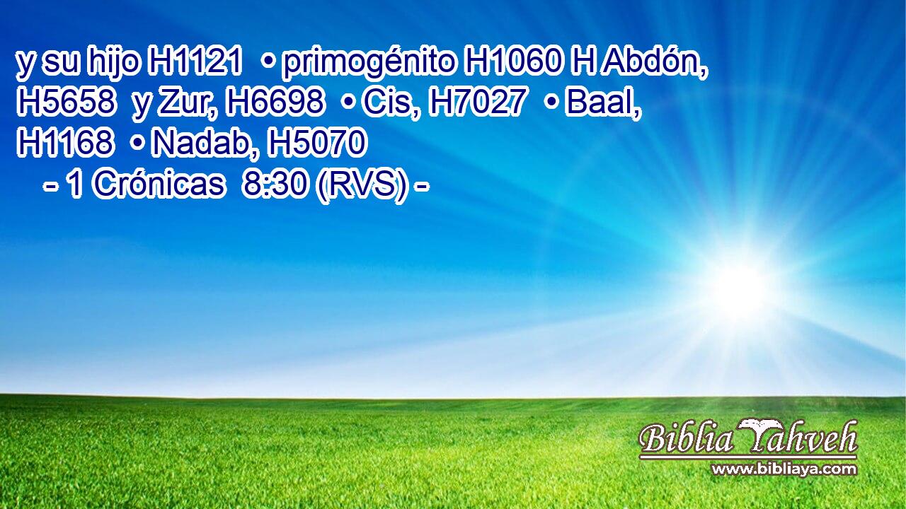 y su hijo H1121  • primogénito H1060 H Abdón, H5658  y Zur, H6698  • Cis, H7027  • Baal, H1168  • Nadab, H5070  