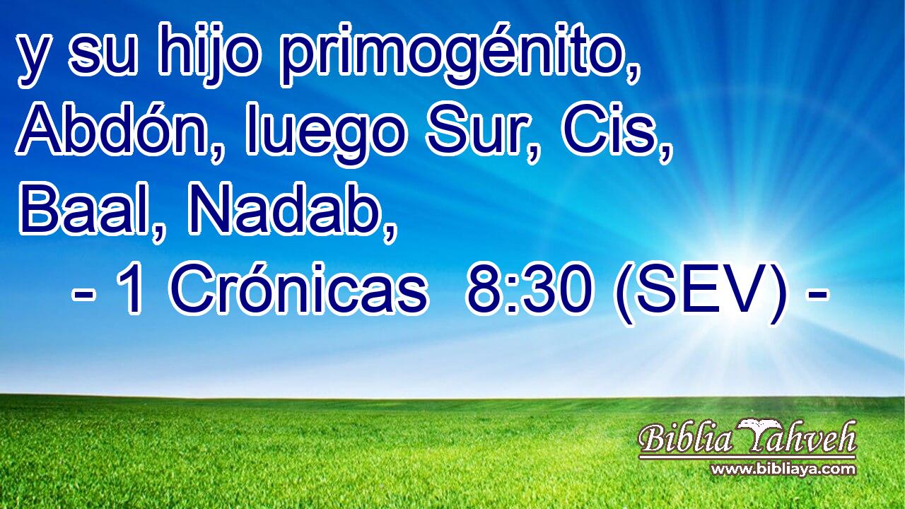 y su hijo primogénito, Abdón, luego Sur, Cis, Baal, Nadab,