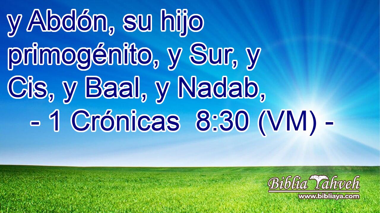 y Abdón, su hijo primogénito, y Sur, y Cis, y Baal, y Nadab, 