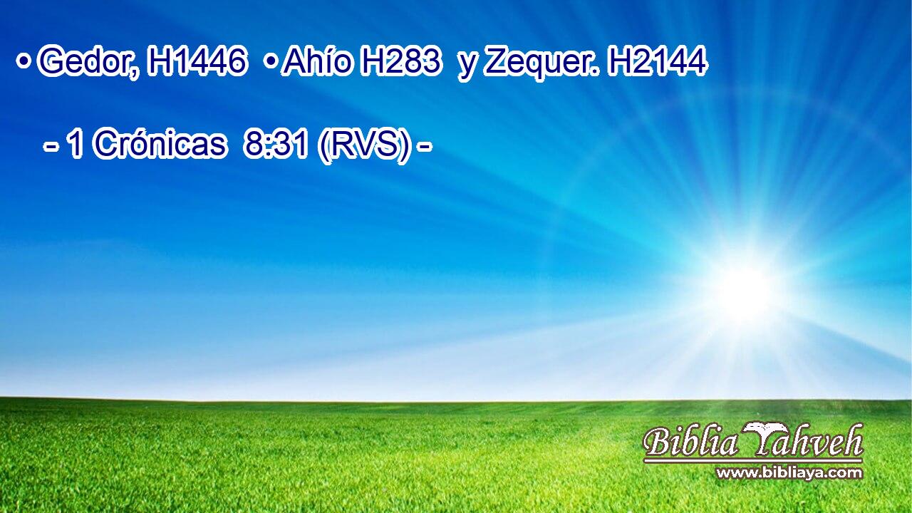 • Gedor, H1446  • Ahío H283  y Zequer. H2144  