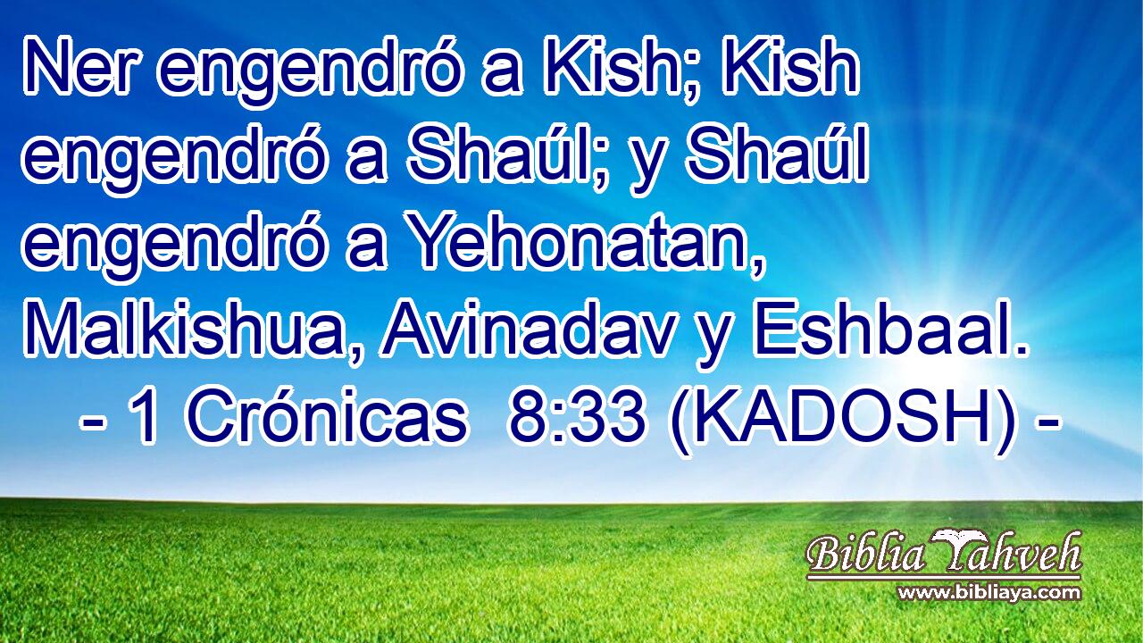  Ner engendró a Kish; Kish engendró a Shaúl; y Shaúl engendró a Yehonatan, Malkishua, Avinadav y Eshbaal. 