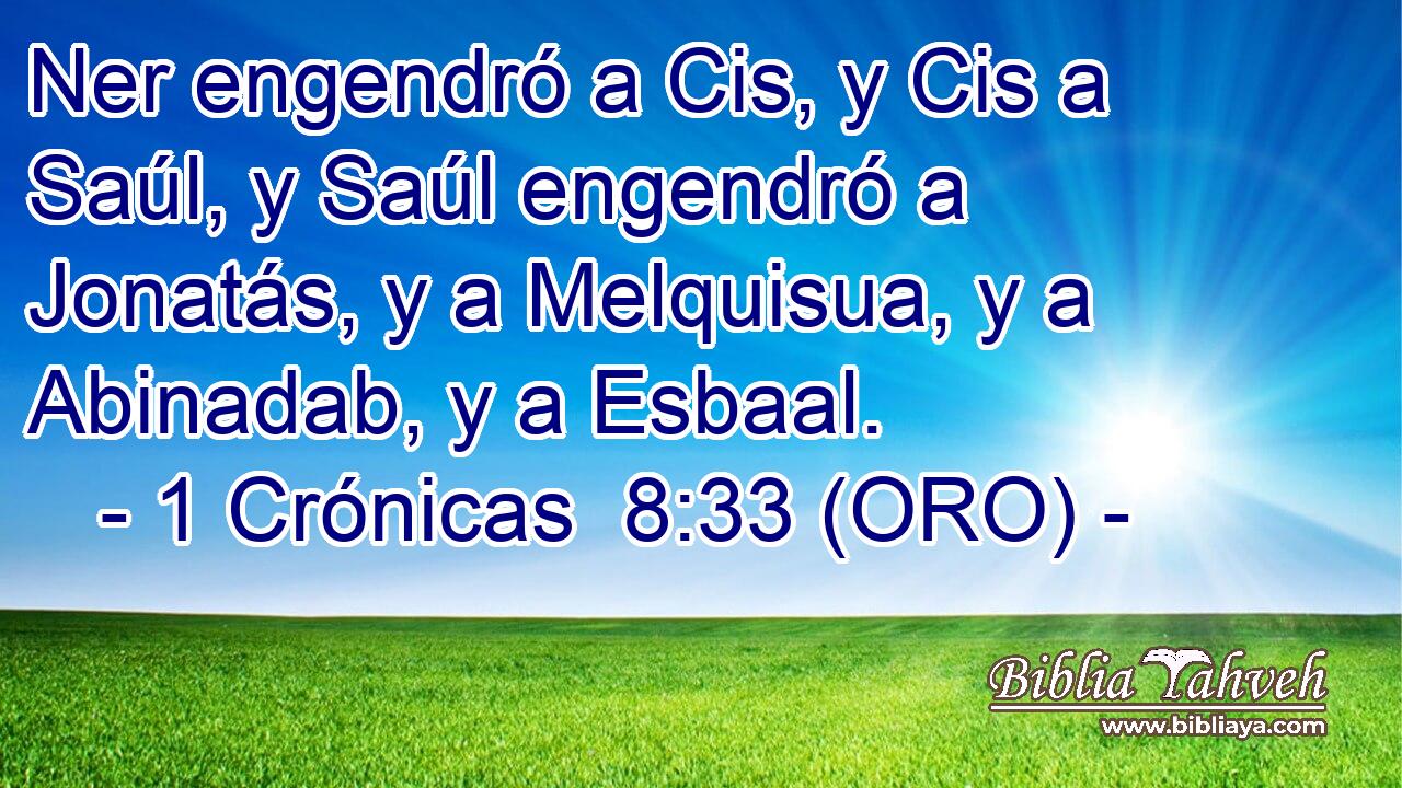  Ner engendró a Cis, y Cis a Saúl, y Saúl engendró a Jonatás, y a Melquisua, y a Abinadab, y a Esbaal. 