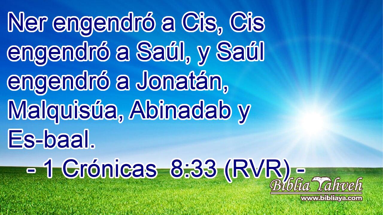 Ner engendró a Cis, Cis engendró a Saúl, y Saúl engendró a Jonatán, Malquisúa, Abinadab y Es-baal.