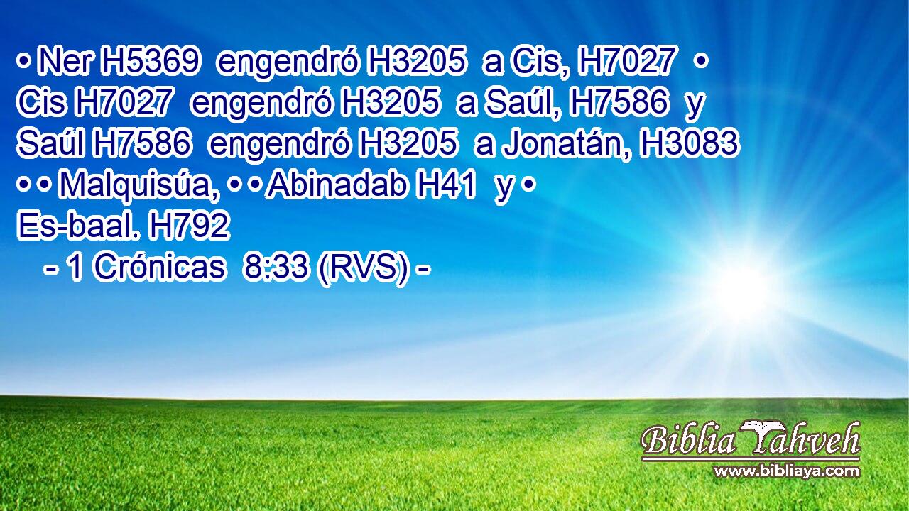 • Ner H5369  engendró H3205  a Cis, H7027  • Cis H7027  engendró H3205  a Saúl, H7586  y Saúl H7586  engendró H3205  a Jonatán, H3083  • • Malquisúa, • • Abinadab H41  y • Es-baal. H792  