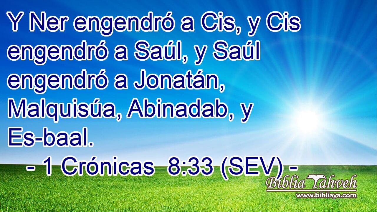 Y Ner engendró a Cis, y Cis engendró a Saúl, y Saúl engendró a Jonatán, Malquisúa, Abinadab, y Es-baal.