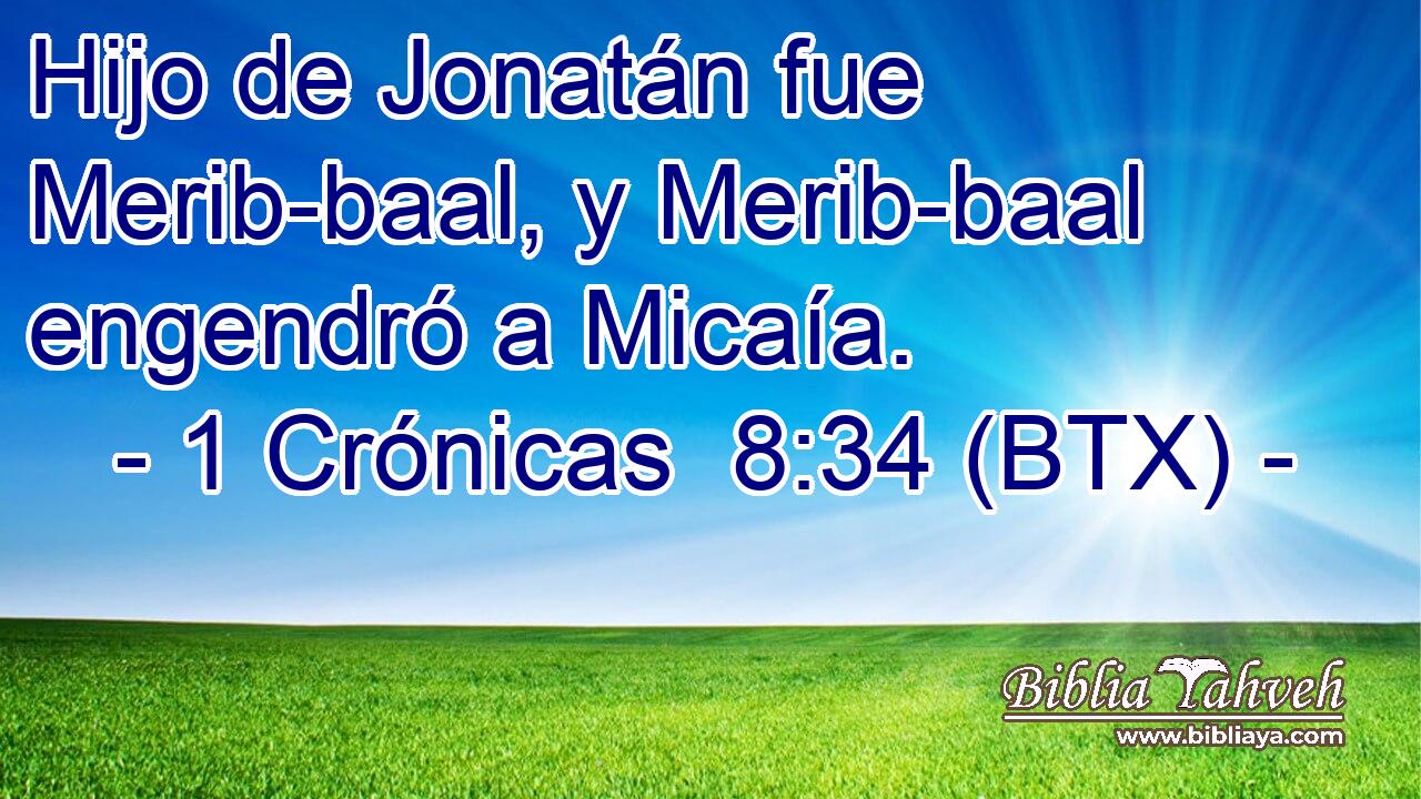 Hijo de Jonatán fue Merib-baal, y Merib-baal engendró a Micaía.