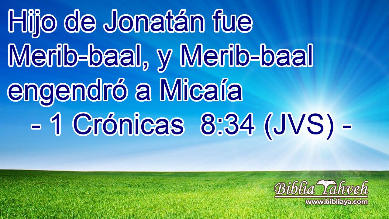 Hijo de Jonatán fue Merib-baal, y Merib-baal engendró a Micaía