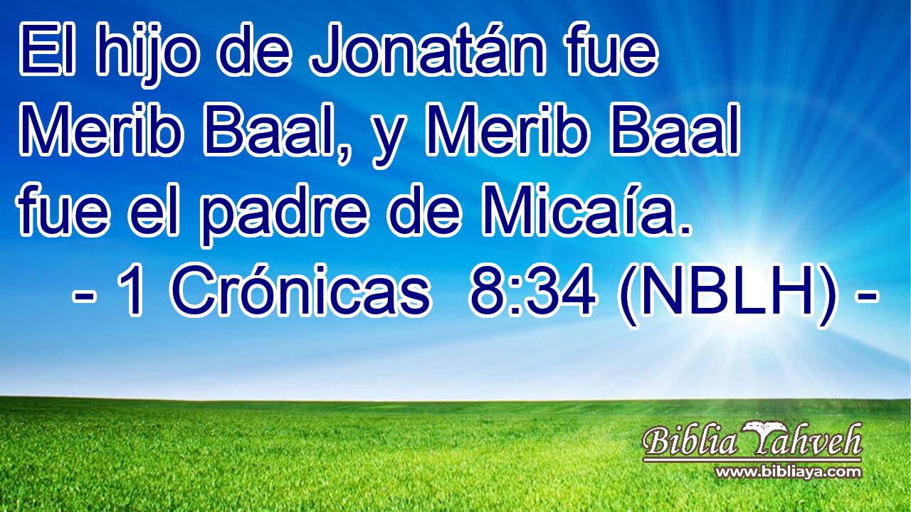  El hijo de Jonatán fue Merib Baal, y Merib Baal fue el padre de Micaía. 