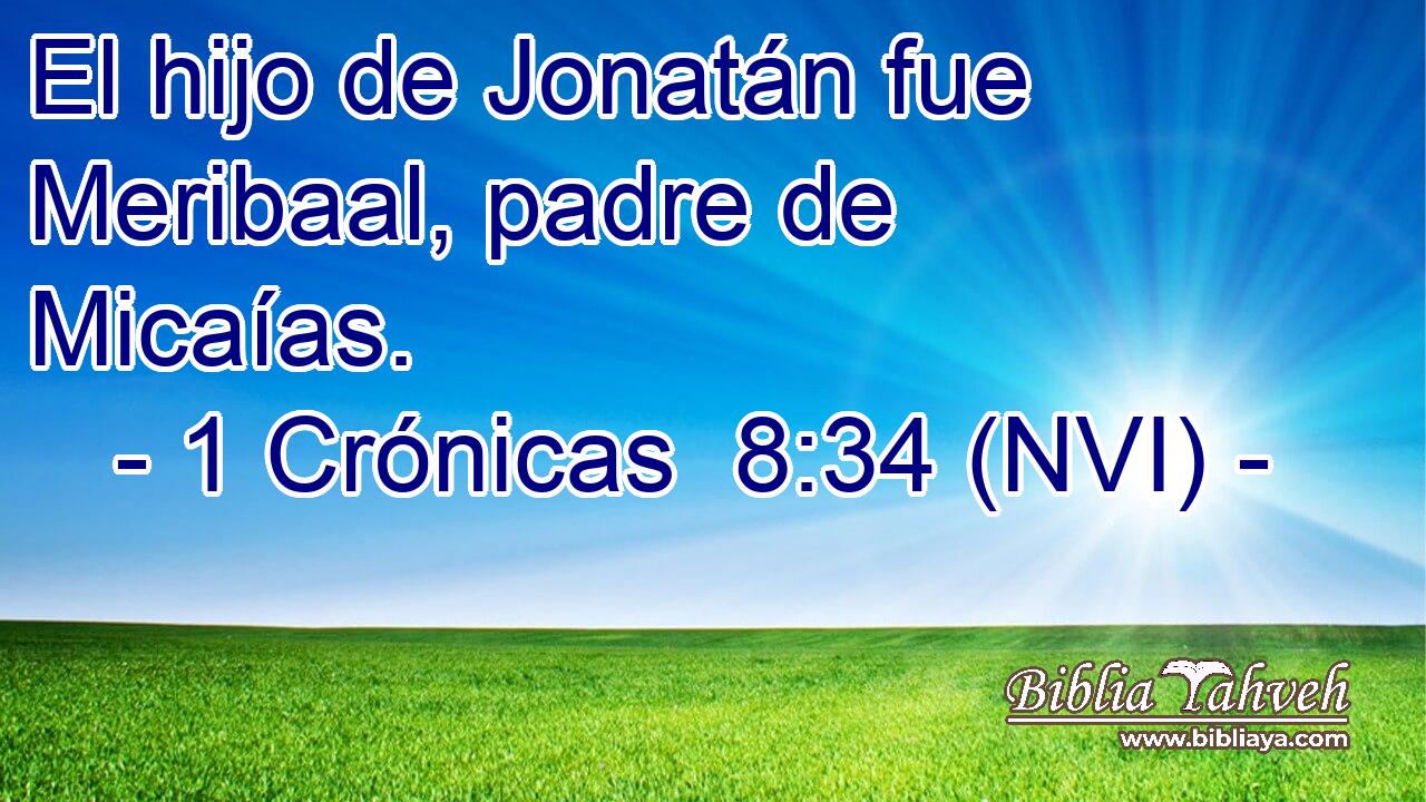  El hijo de Jonatán fue Meribaal, padre de Micaías. 
