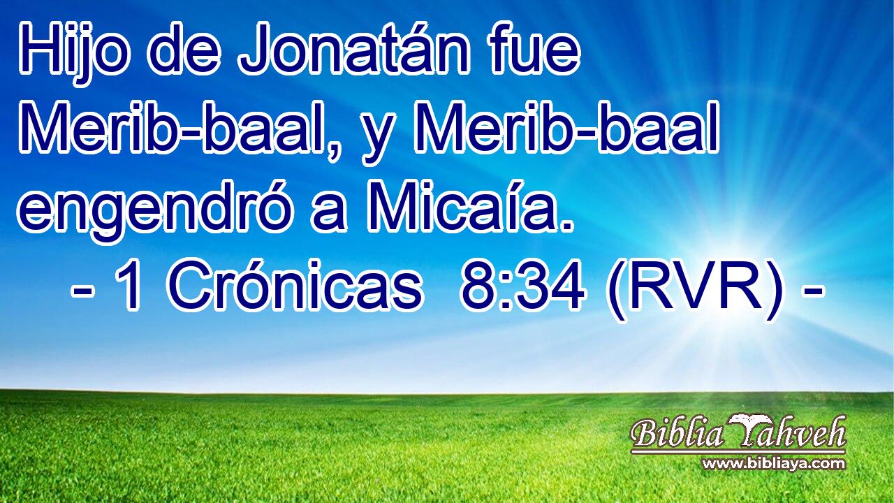Hijo de Jonatán fue Merib-baal, y Merib-baal engendró a Micaía.
