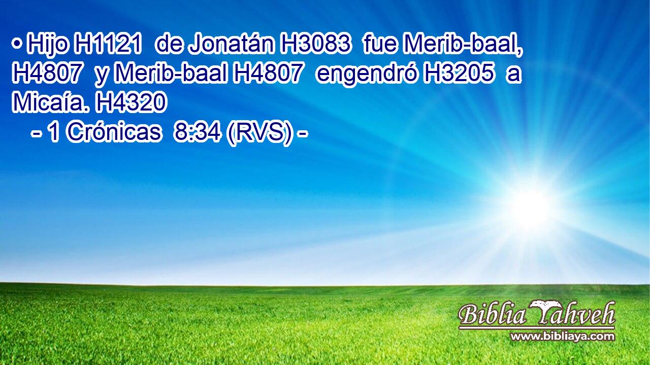 • Hijo H1121  de Jonatán H3083  fue Merib-baal, H4807  y Merib-baal H4807  engendró H3205  a Micaía. H4320  