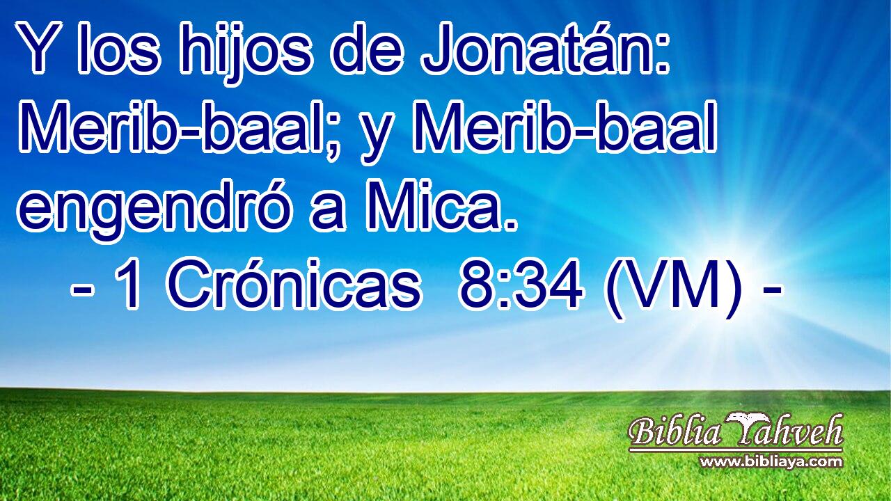  Y los hijos de Jonatán: Merib-baal; y Merib-baal engendró a Mica. 