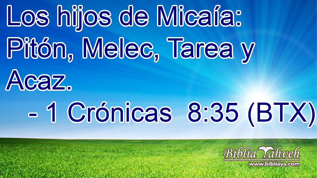 Los hijos de Micaía: Pitón, Melec, Tarea y Acaz.