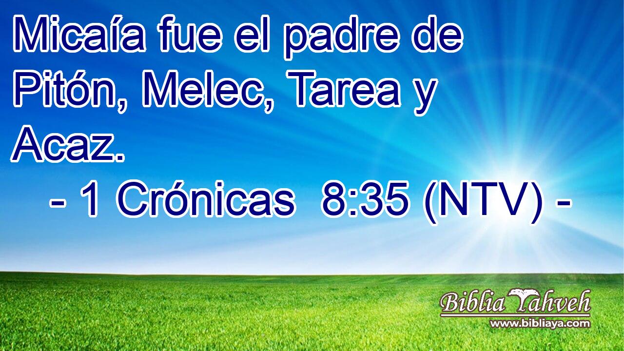 Micaía fue el padre de Pitón, Melec, Tarea y Acaz.