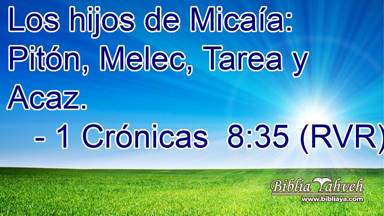 Los hijos de Micaía: Pitón, Melec, Tarea y Acaz.
