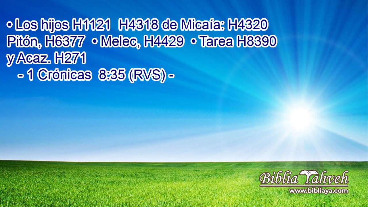 • Los hijos H1121  H4318 de Micaía: H4320  Pitón, H6377  • Melec, H4429  • Tarea H8390  y Acaz. H271  