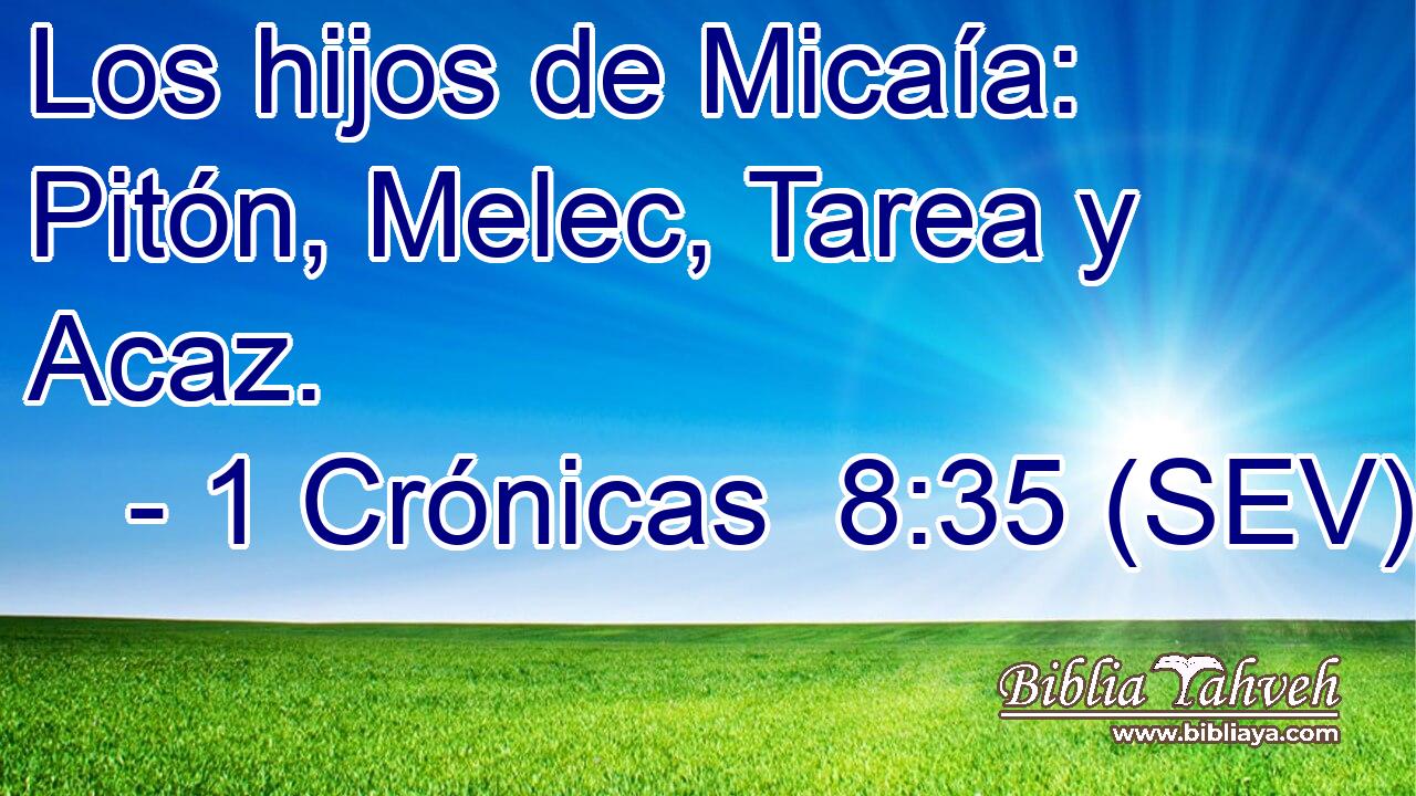 Los hijos de Micaía: Pitón, Melec, Tarea y Acaz.