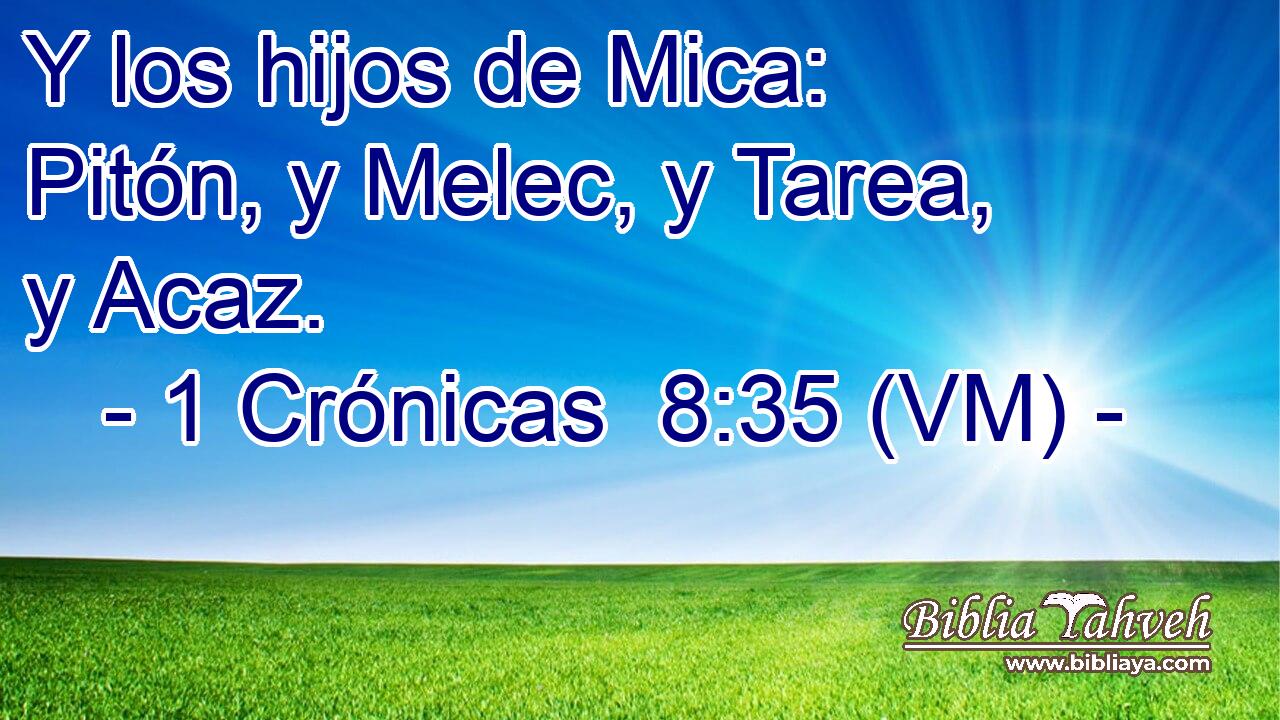  Y los hijos de Mica: Pitón, y Melec, y Tarea, y Acaz. 