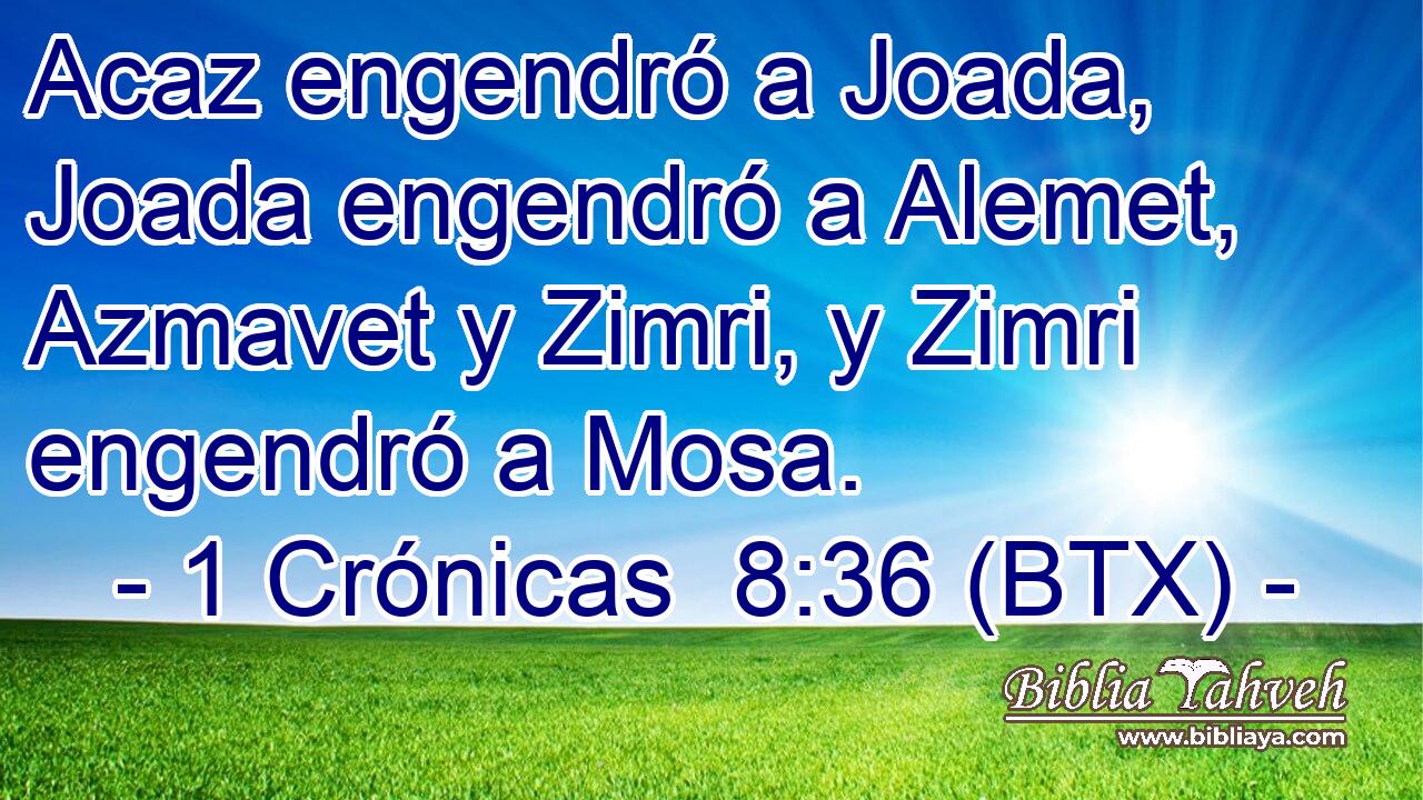 Acaz engendró a Joada, Joada engendró a Alemet, Azmavet y Zimri, y Zimri engendró a Mosa.