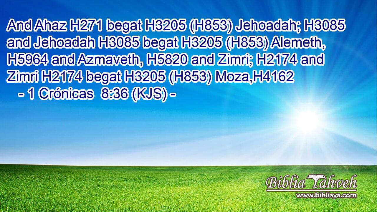 And Ahaz H271 begat H3205 (H853) Jehoadah; H3085 and Jehoadah H3085 begat H3205 (H853) Alemeth, H5964 and Azmaveth, H5820 and Zimri; H2174 and Zimri H2174 begat H3205 (H853) Moza,H4162