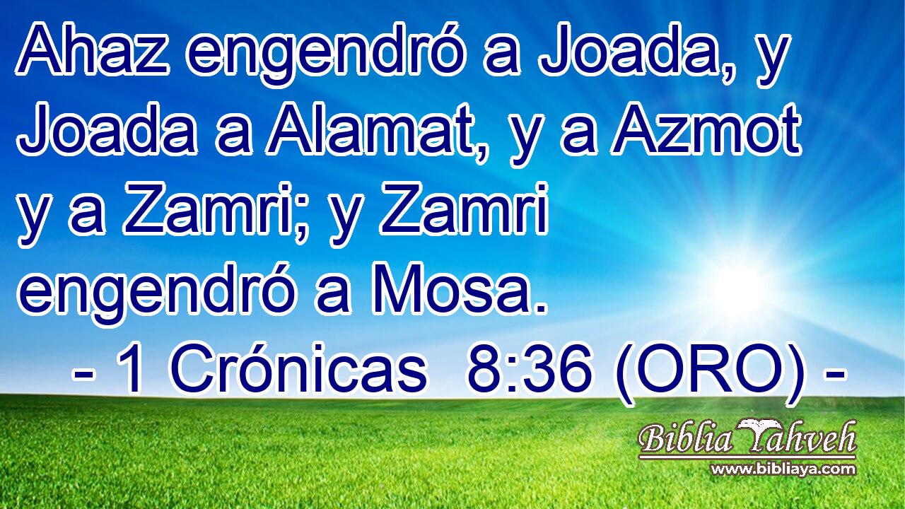  Ahaz engendró a Joada, y Joada a Alamat, y a Azmot y a Zamri; y Zamri engendró a Mosa. 