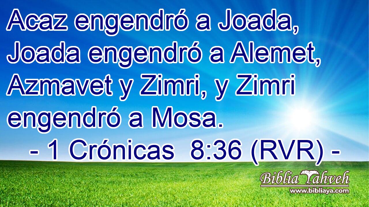 Acaz engendró a Joada, Joada engendró a Alemet, Azmavet y Zimri, y Zimri engendró a Mosa.