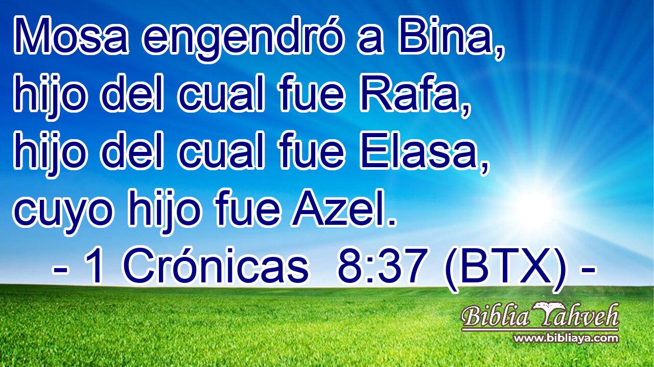 Mosa engendró a Bina, hijo del cual fue Rafa, hijo del cual fue Elasa, cuyo hijo fue Azel.