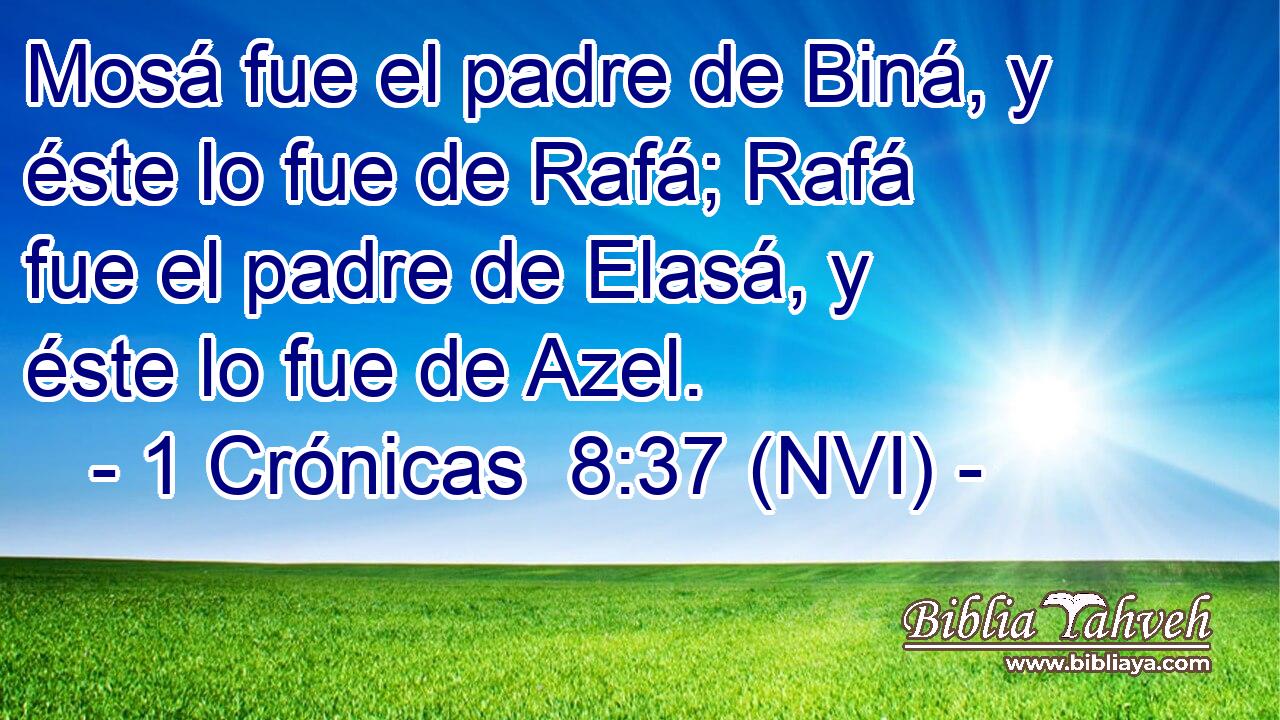  Mosá fue el padre de Biná, y éste lo fue de Rafá; Rafá fue el padre de Elasá, y éste lo fue de Azel. 